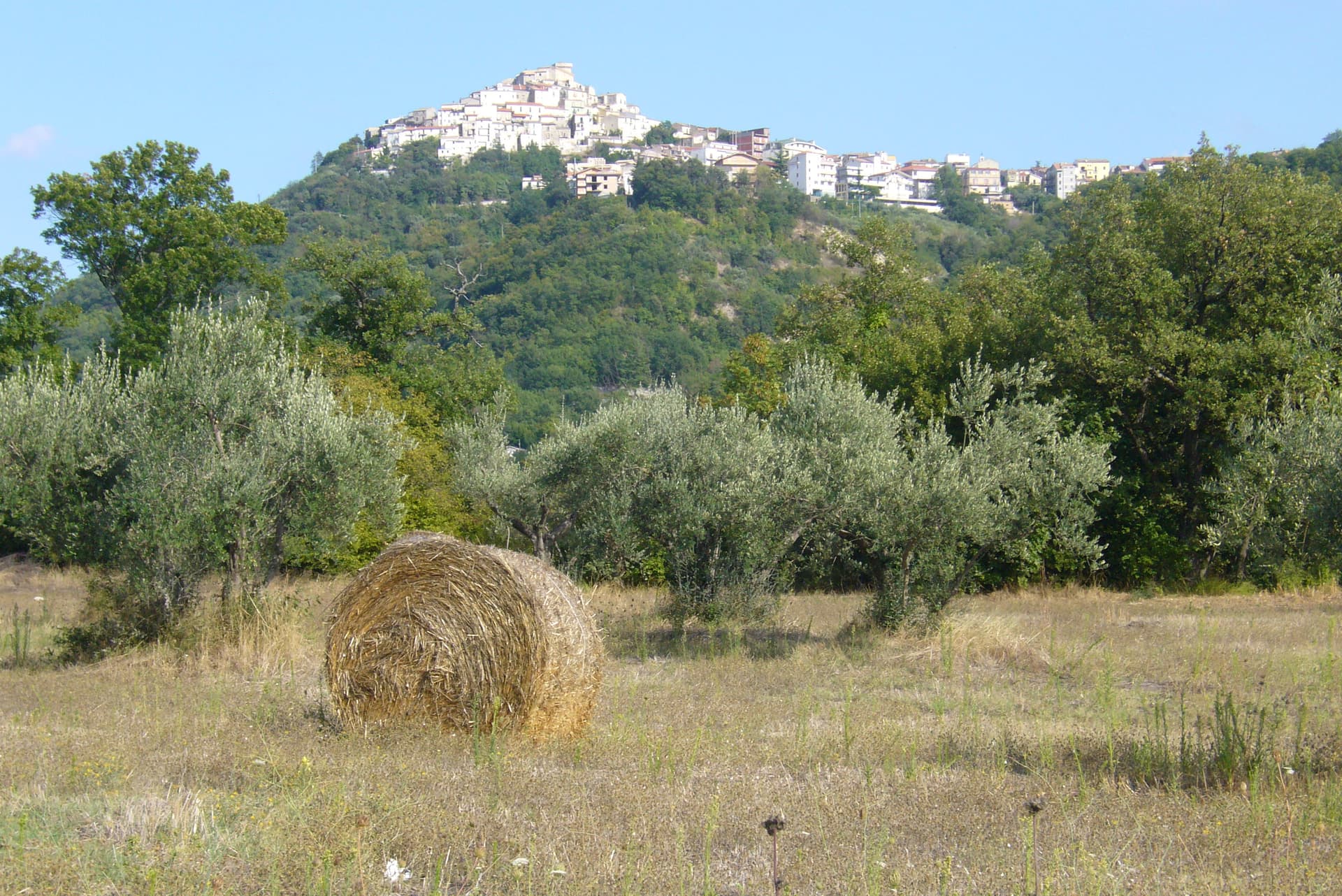 Casoli — photo 2
