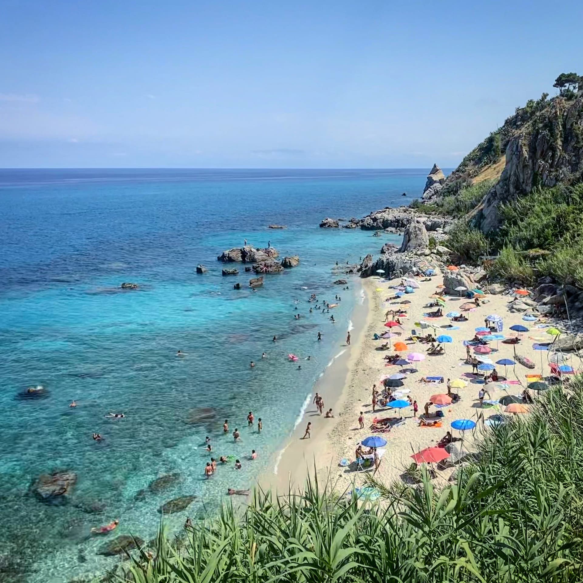 Parghelia