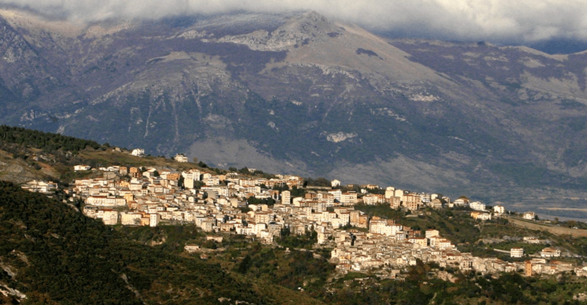 Saracena