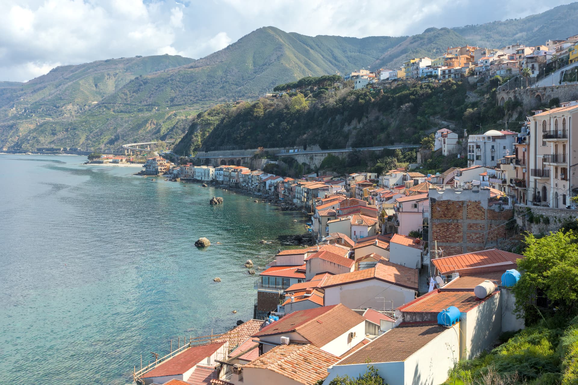 Scilla