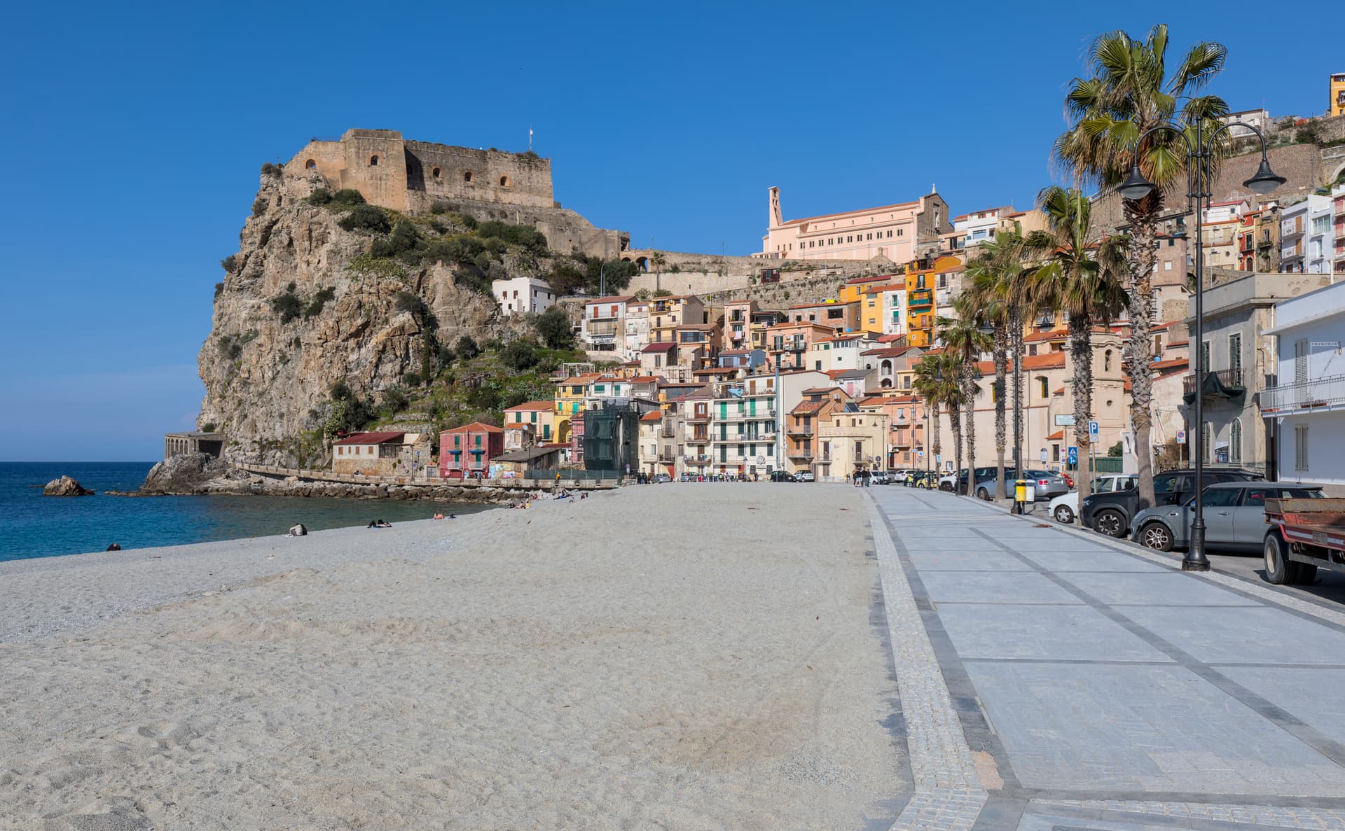 Scilla — photo 1