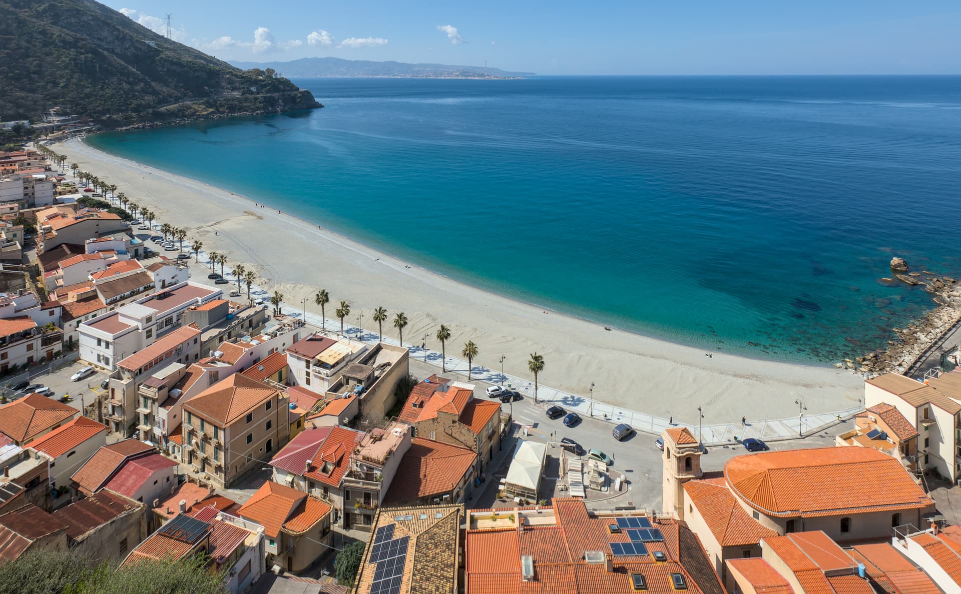 Scilla — photo 2