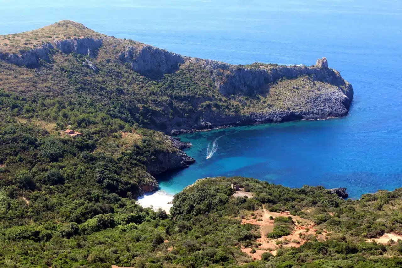 Camerota — photo 2