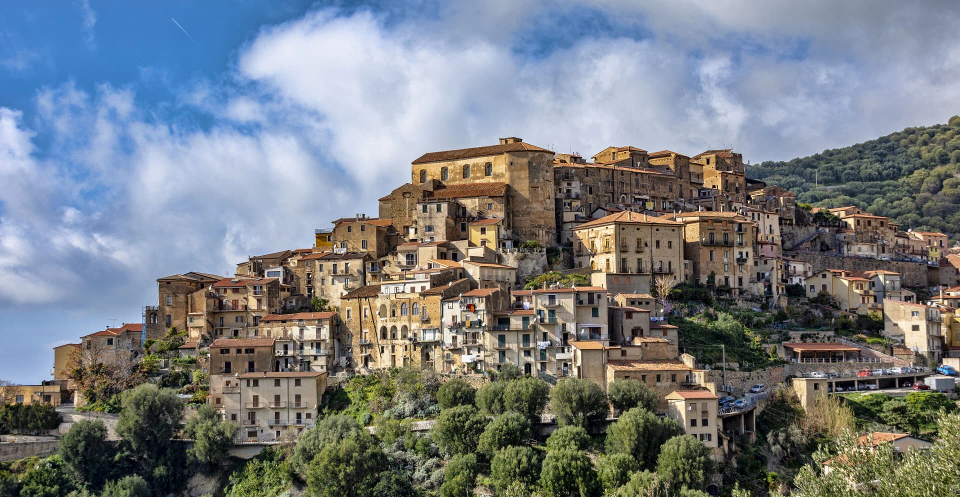 Pisciotta