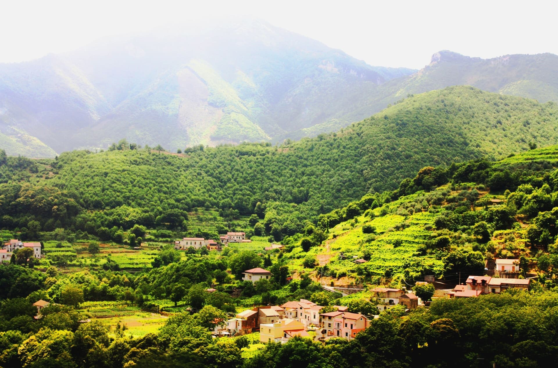 Tramonti