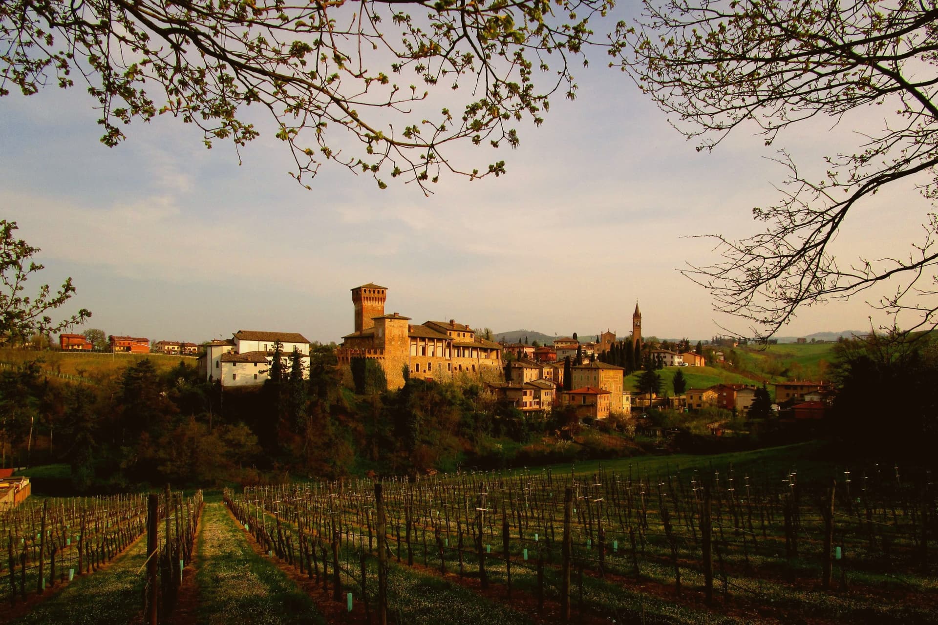 Castelvetro di Modena, photo 2