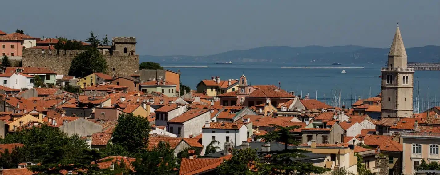 Muggia — photo 2