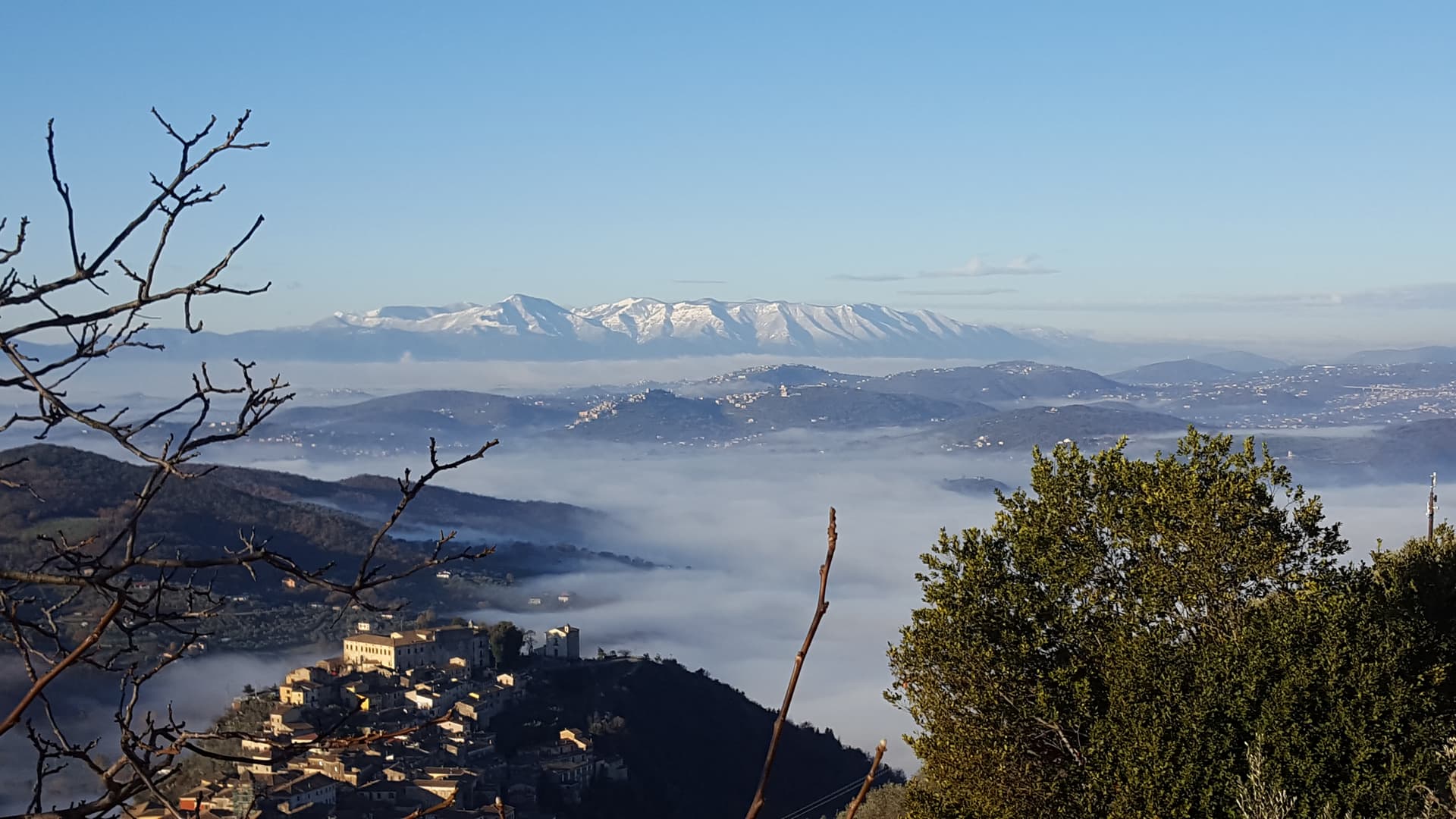 Arpino