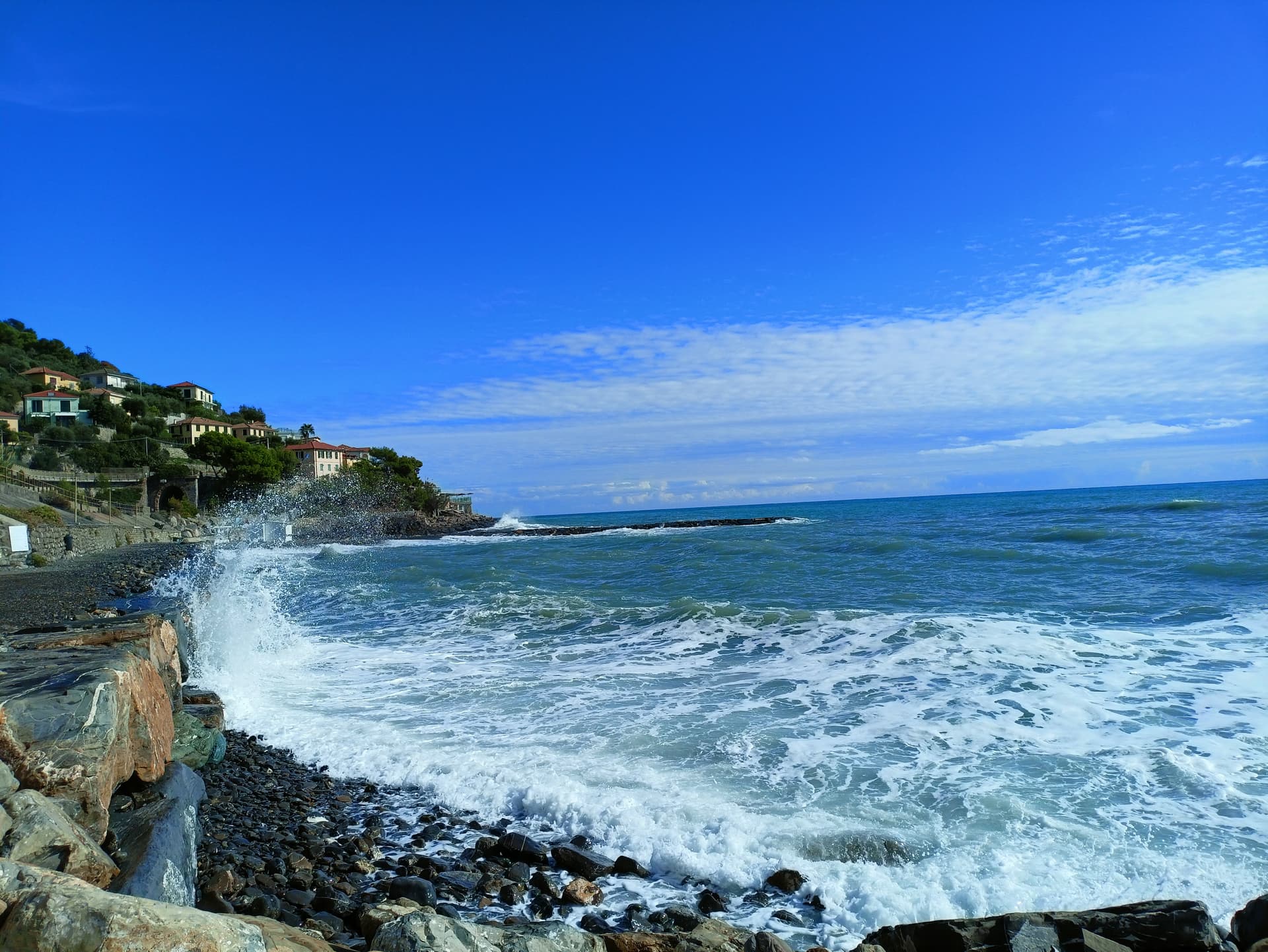 Cervo