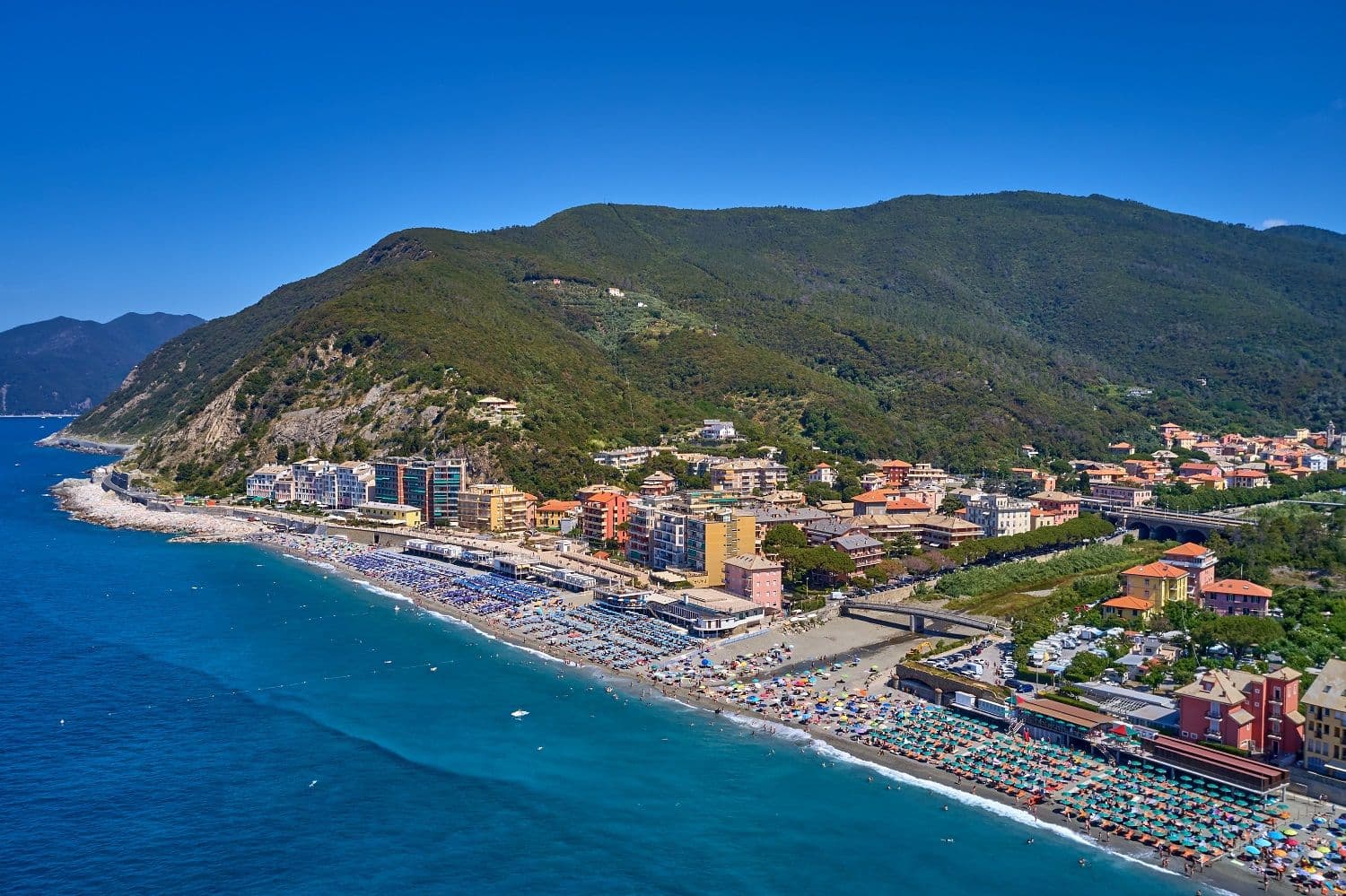 Deiva Marina — photo 2