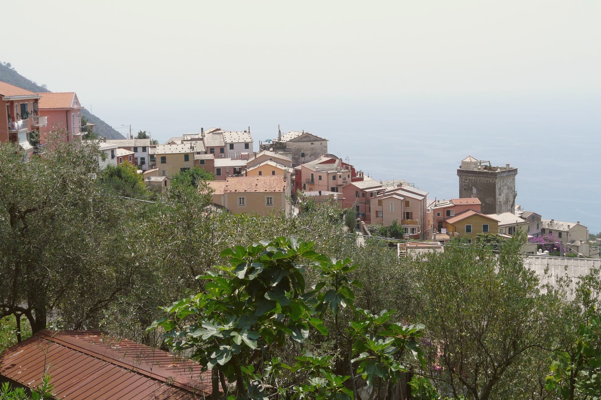 Framura, photo 1