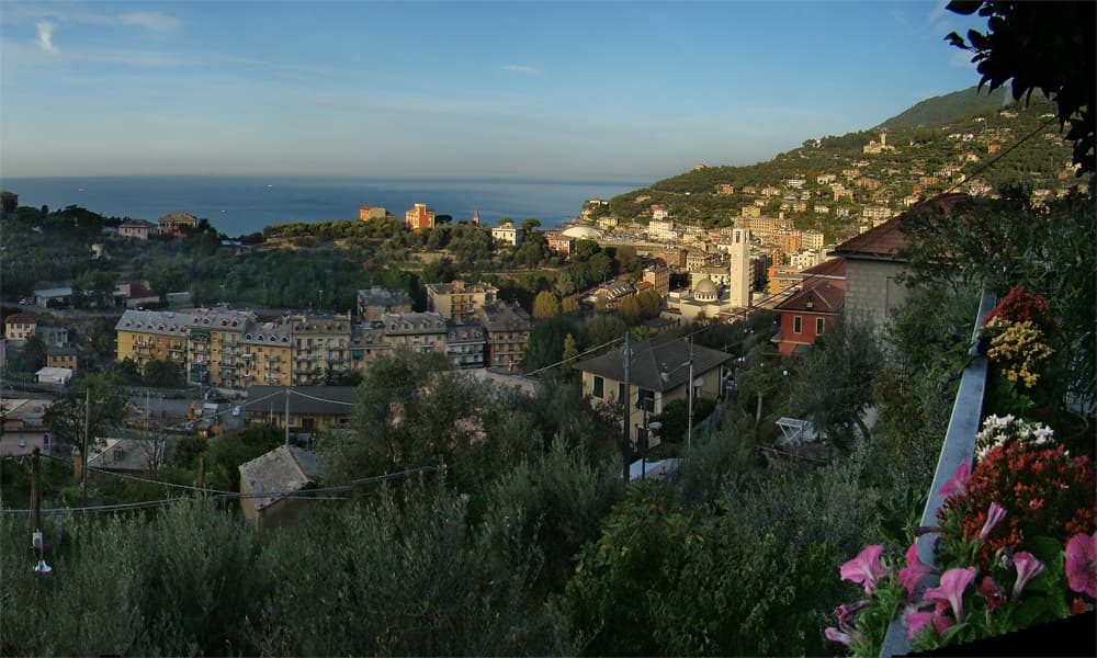 Recco — photo 1