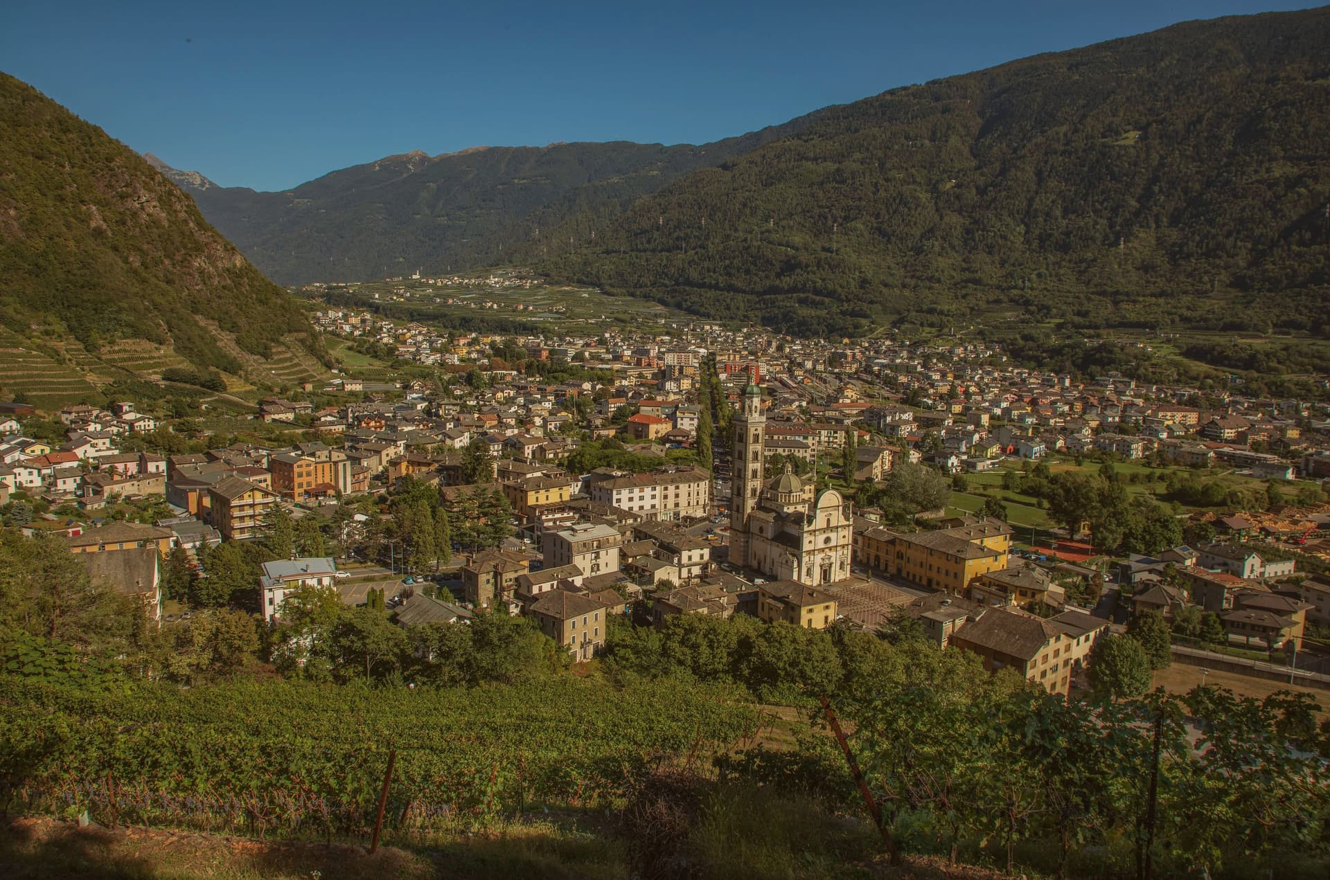 00   Tirano