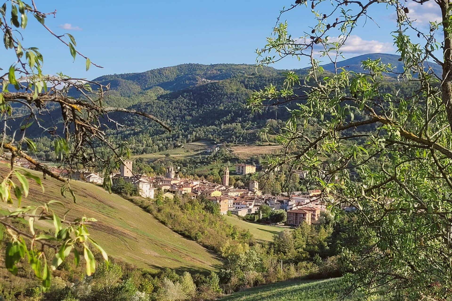 00   Varzi