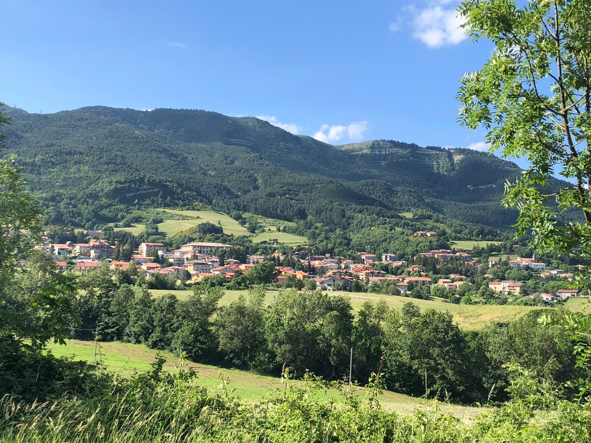 Carpegna — photo 2