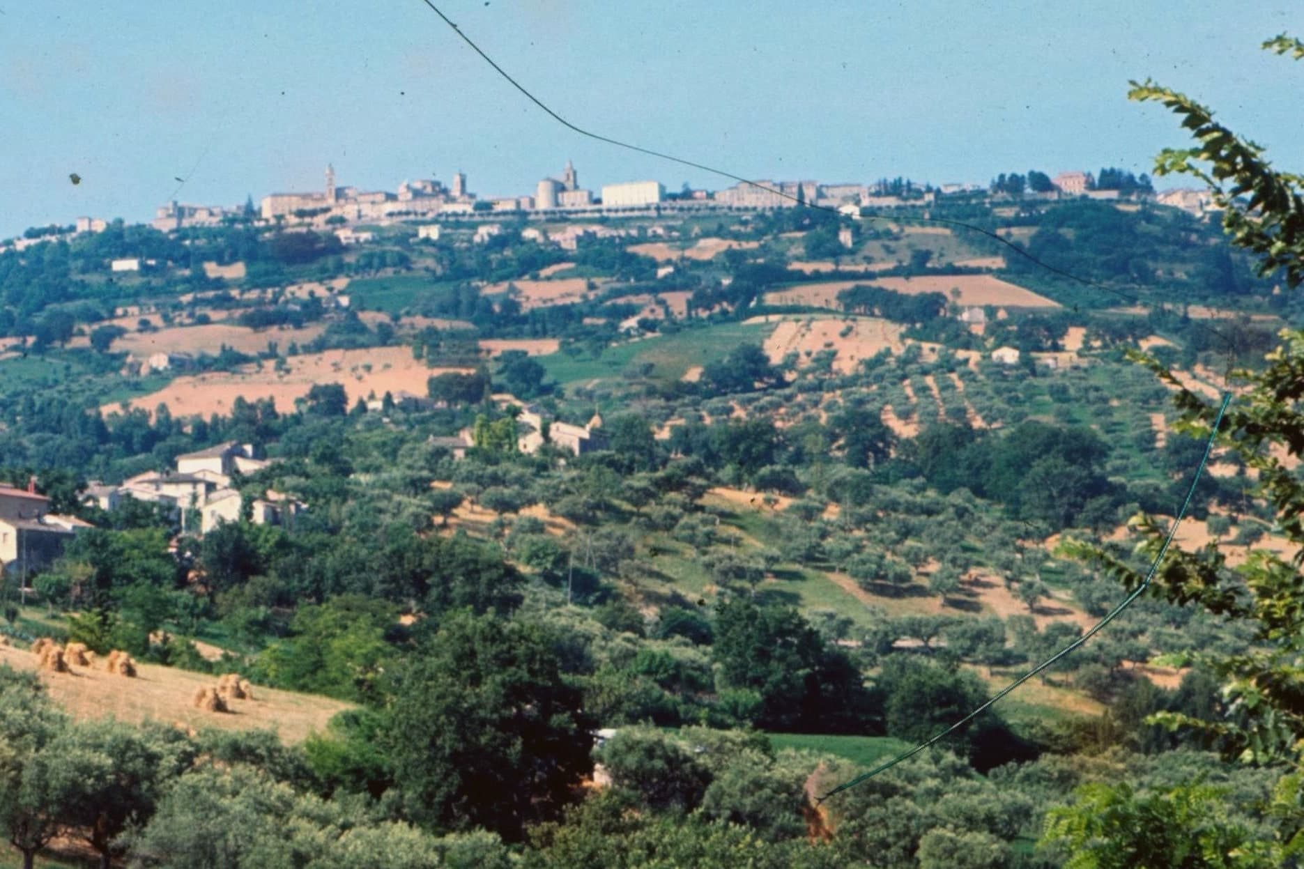 00   Cingoli