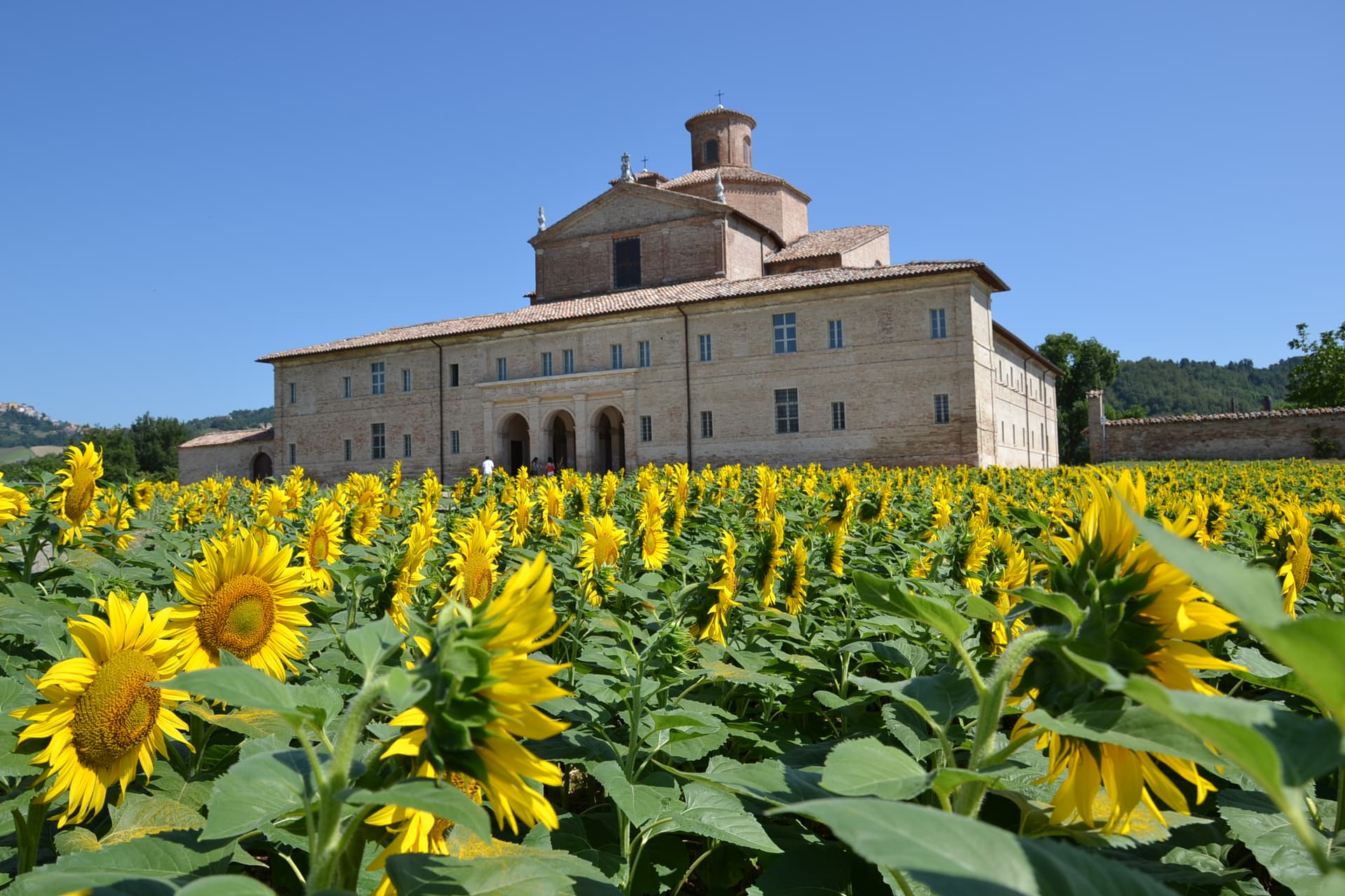Urbania — photo 1