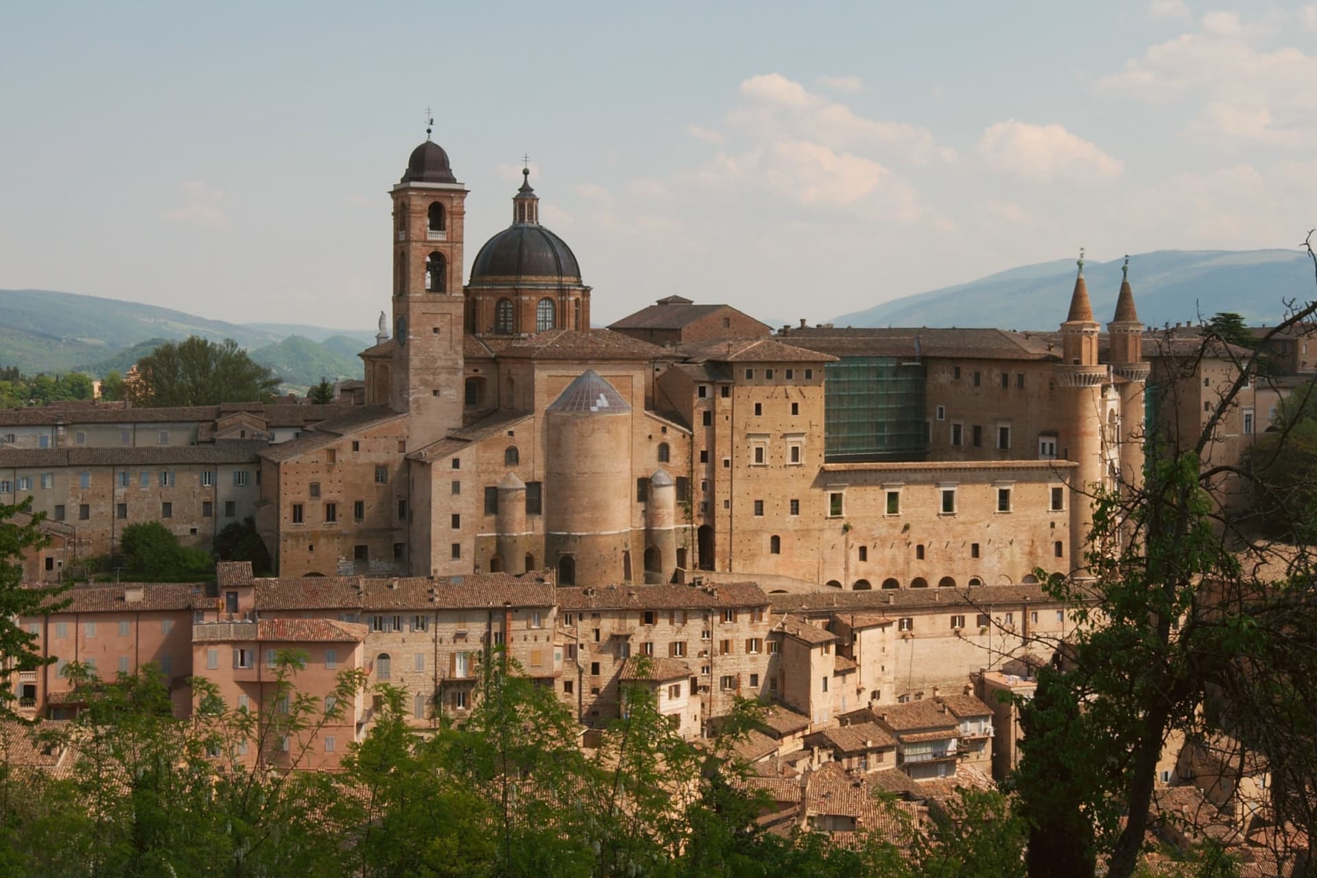 00   Urbino