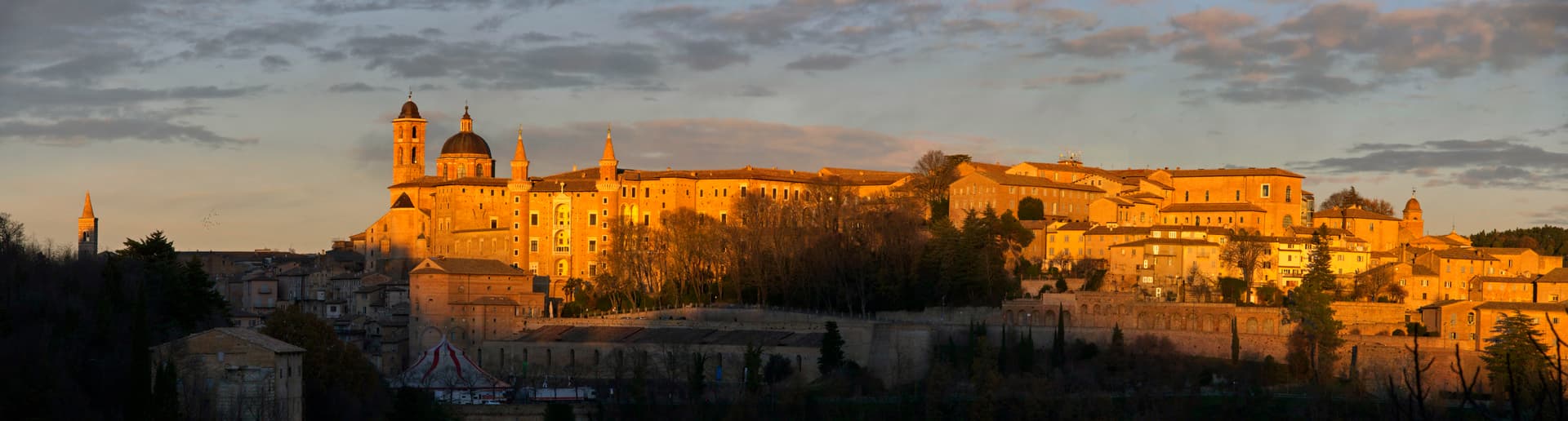 Urbino