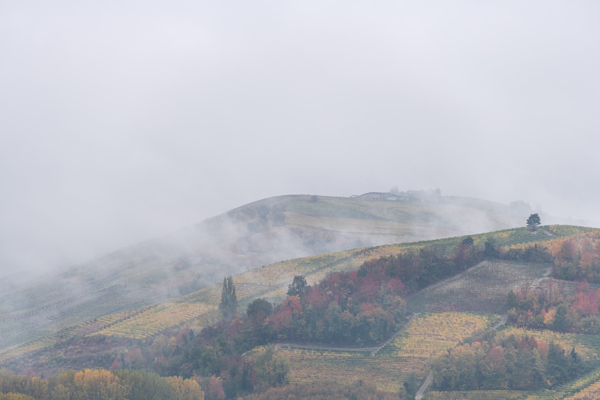 Grinzane Cavour