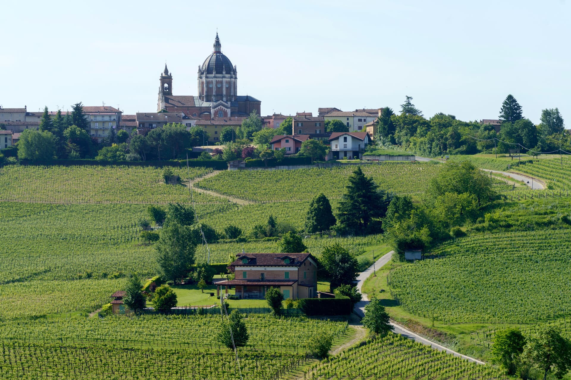 Nizza Monferrato — photo 2