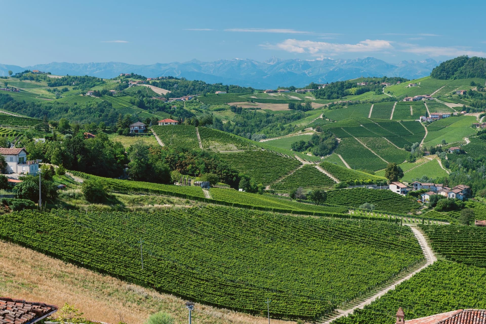 Serralunga d'Alba, photo 1