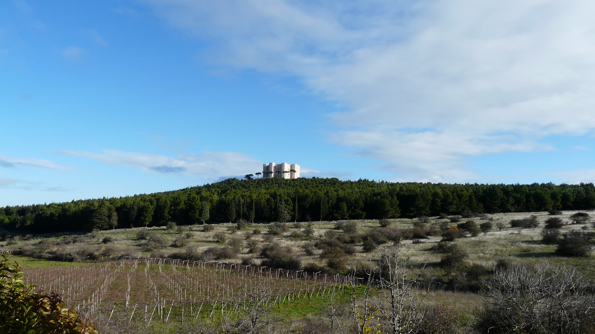 Andria — photo 2