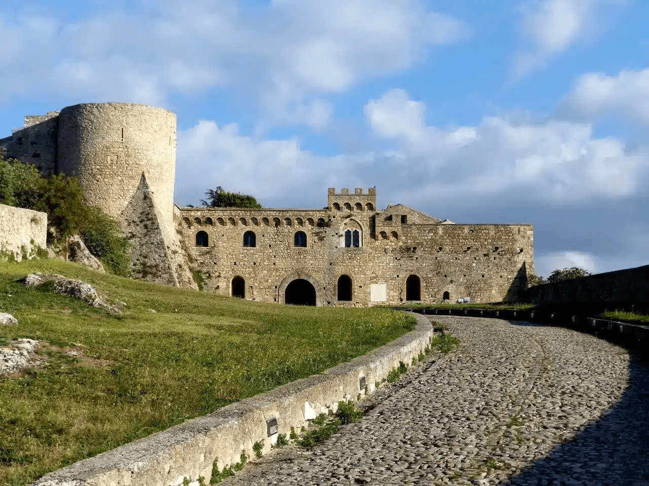 Bovino