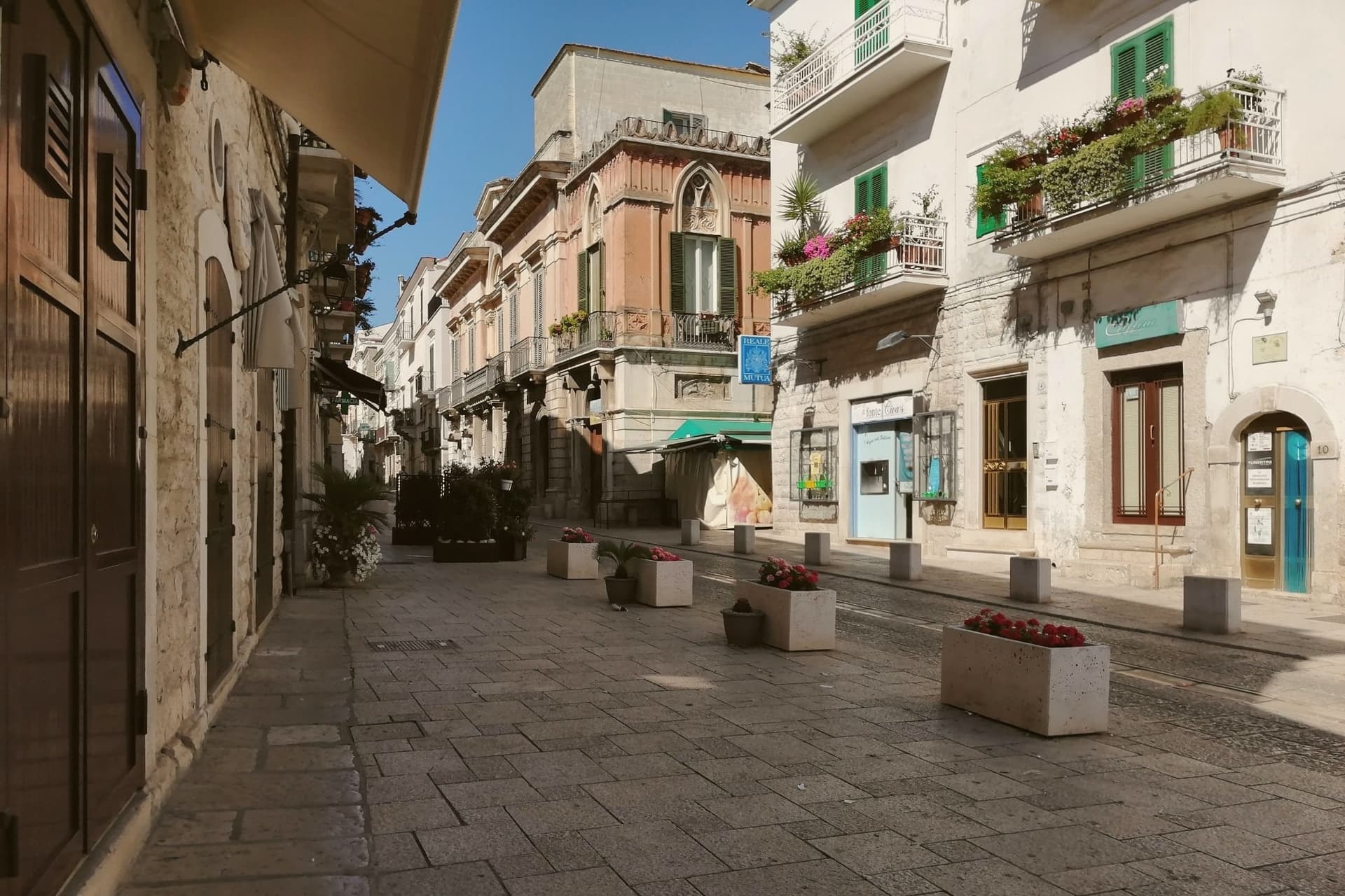 Minervino Murge, photo 1