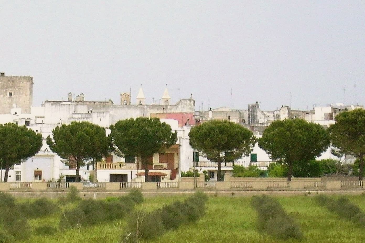 Nociglia, photo 2