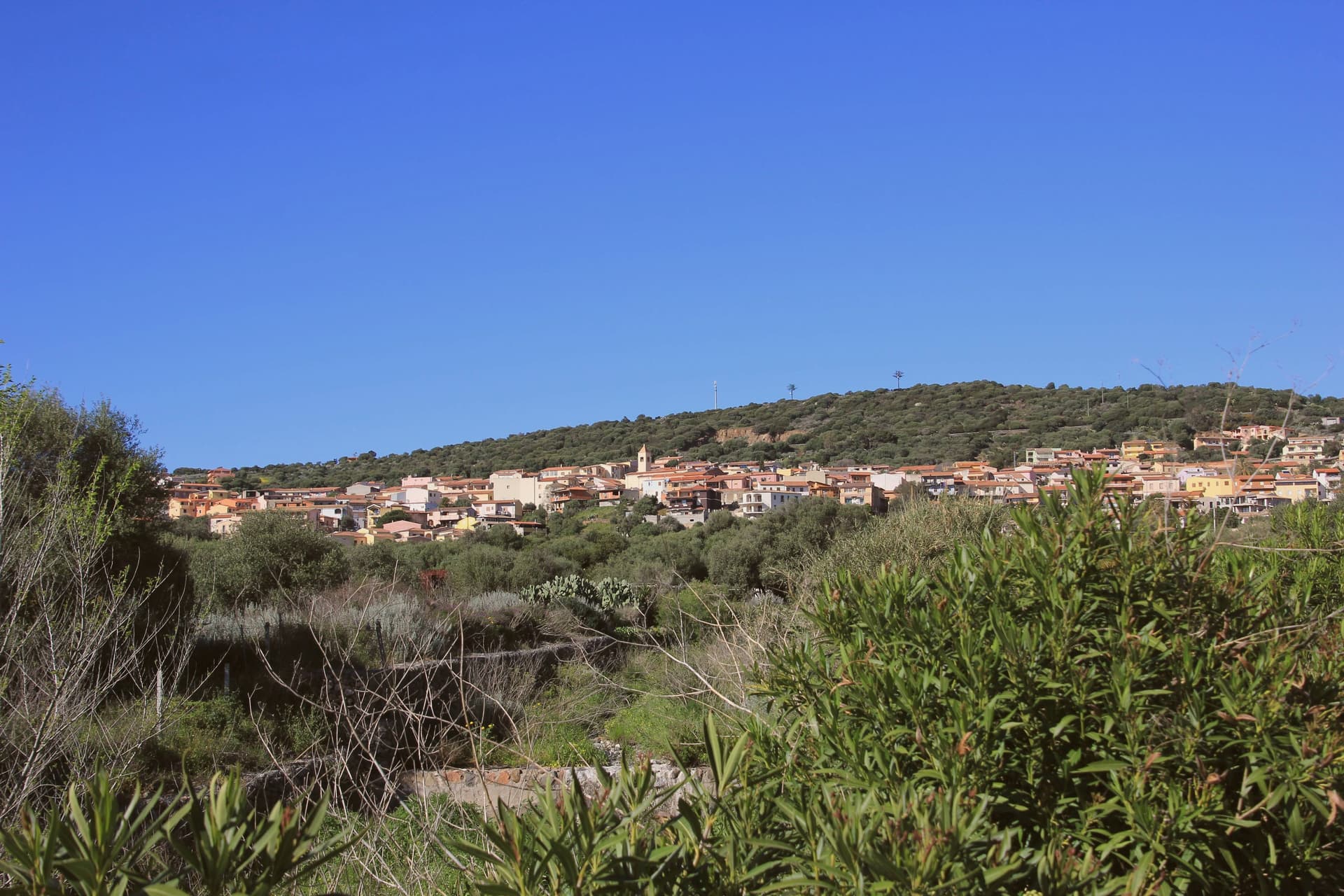 Badesi, photo 1