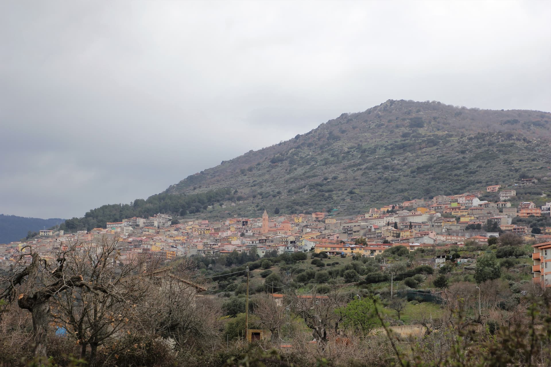 Bolotana — photo 2