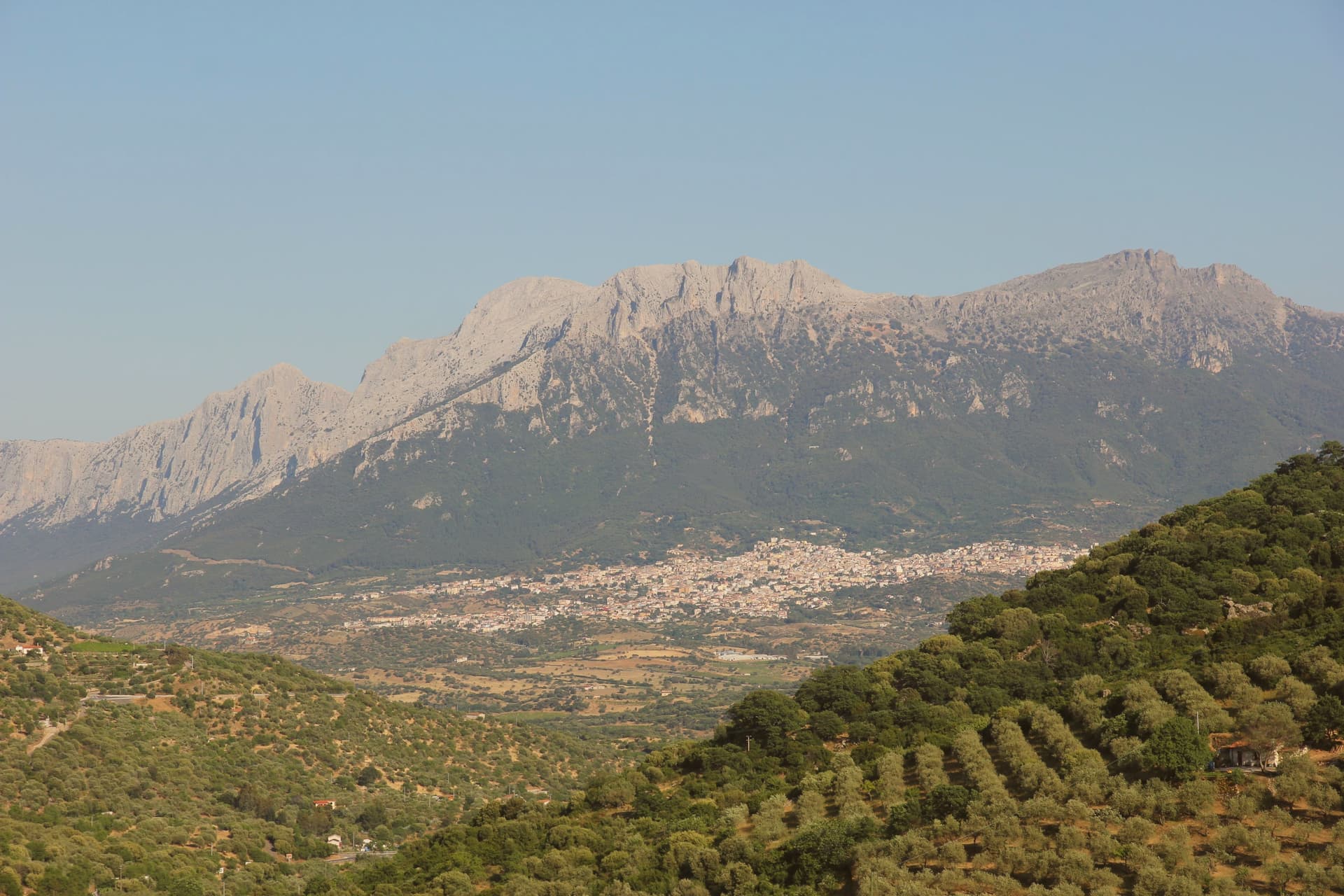 Oliena