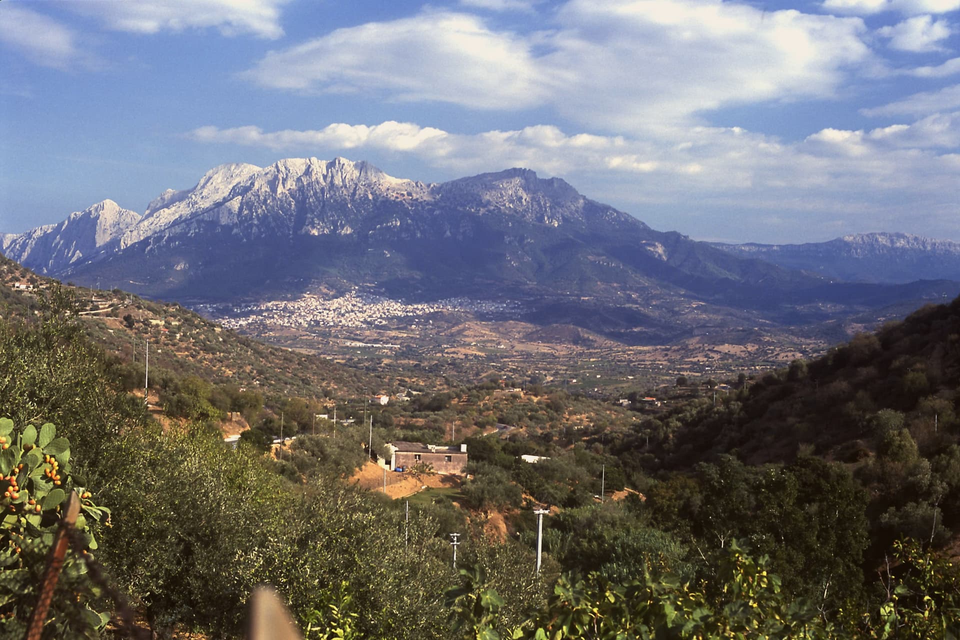 Oliena, photo 1