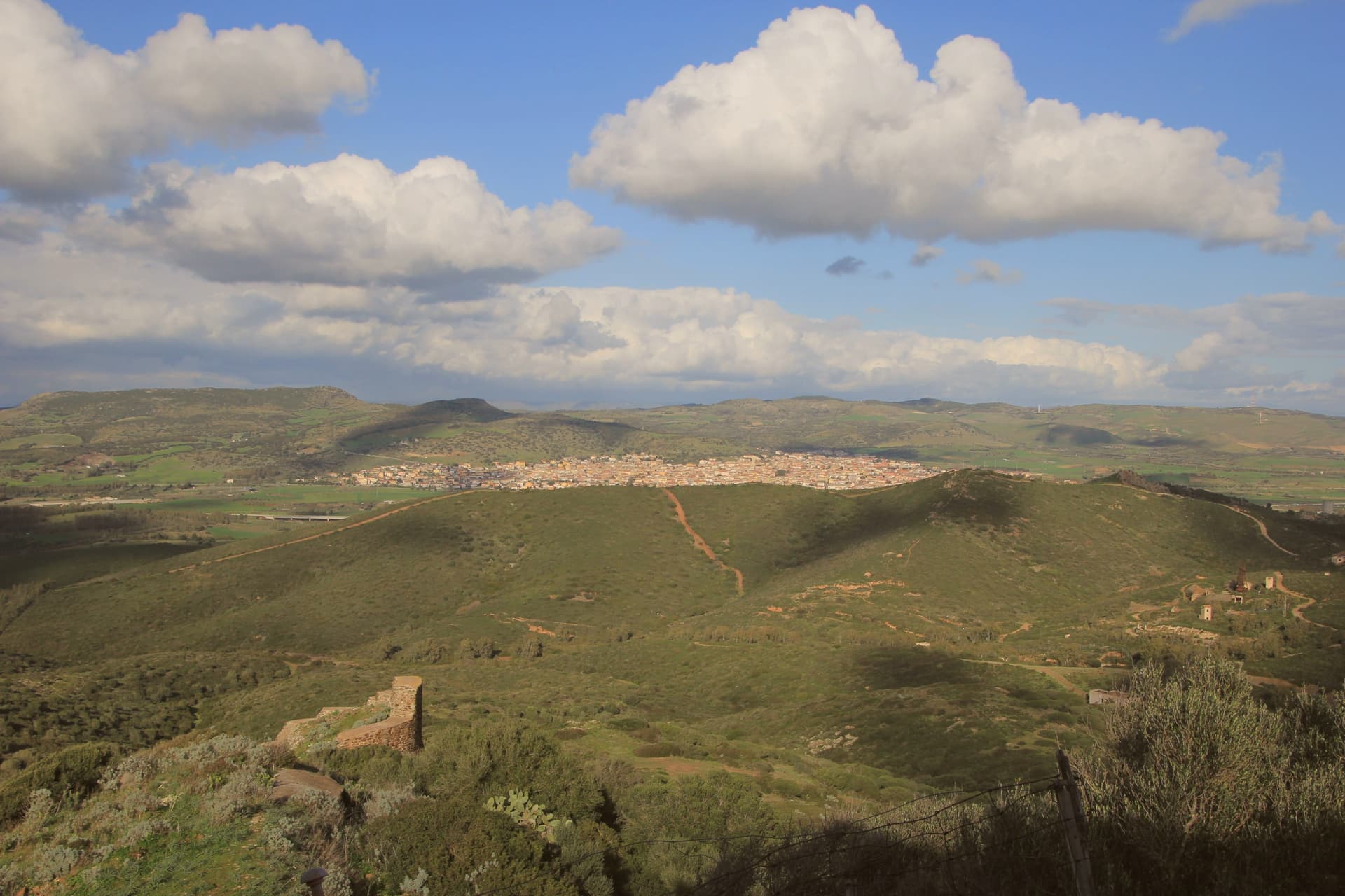 Sardara