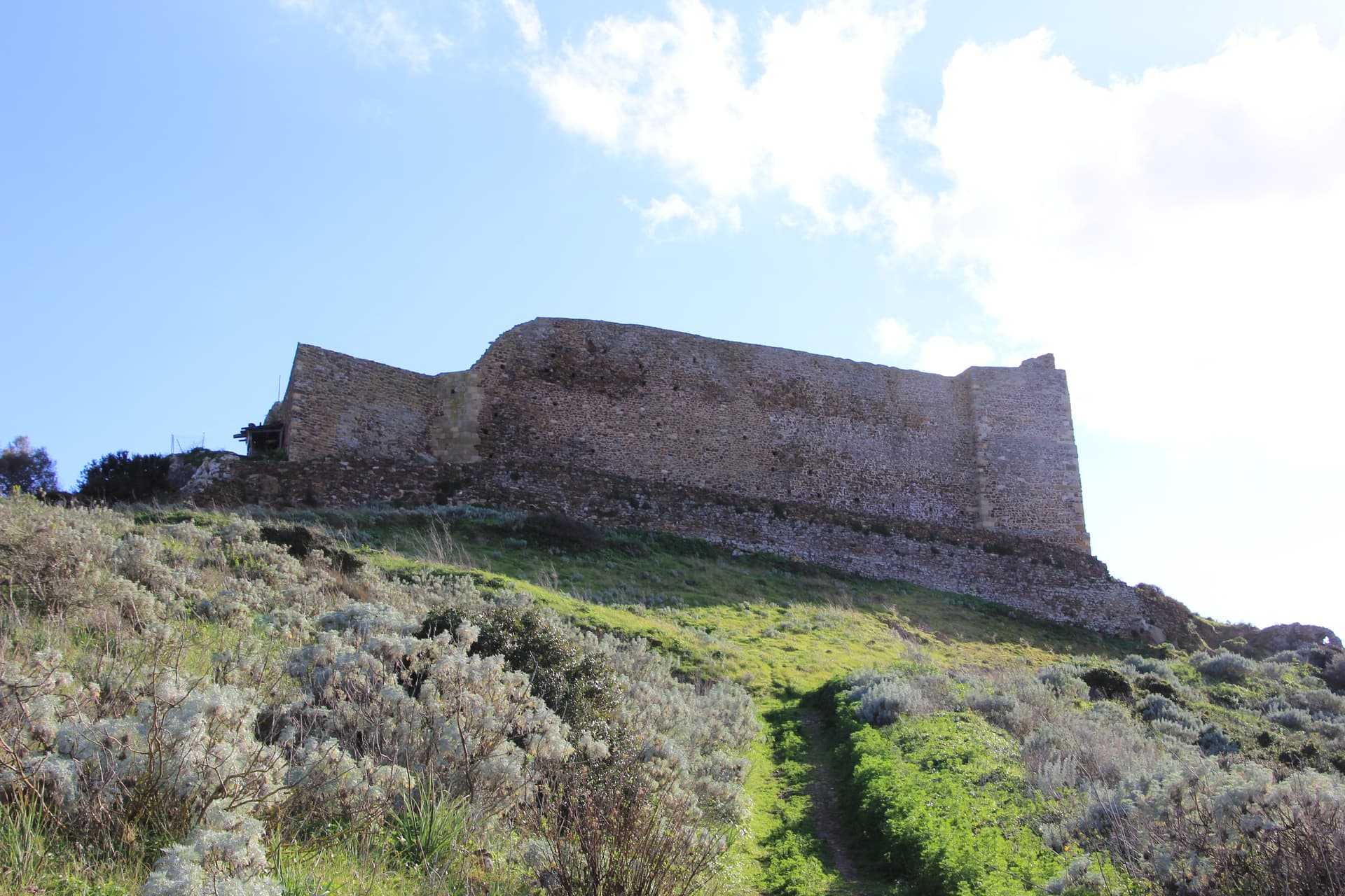 Sardara