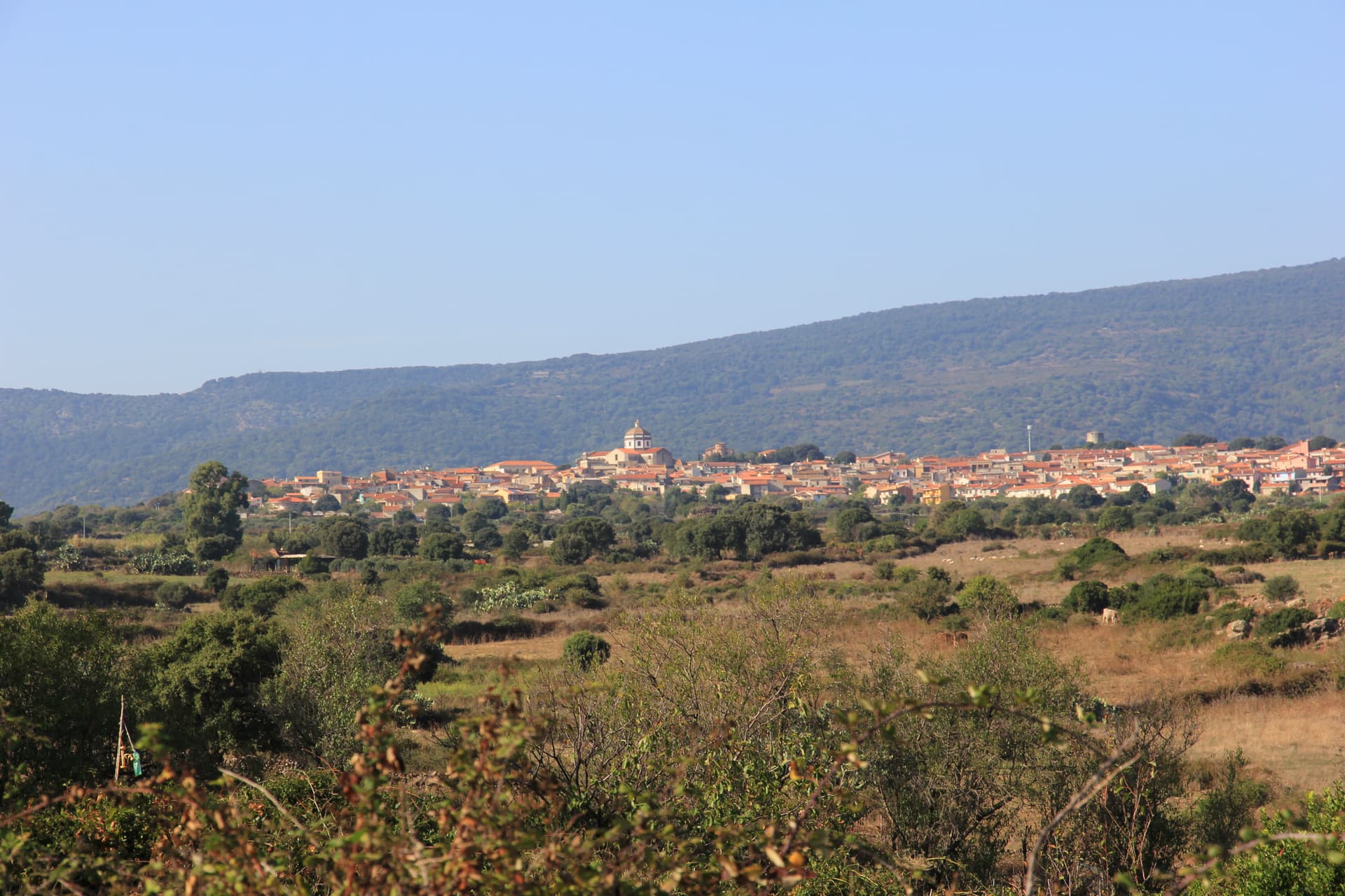 Seneghe — photo 2