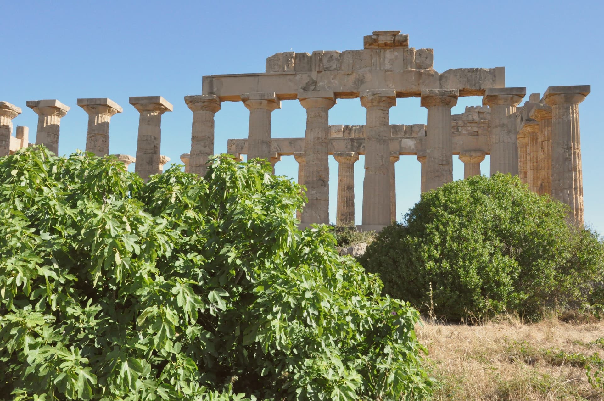 Castelvetrano