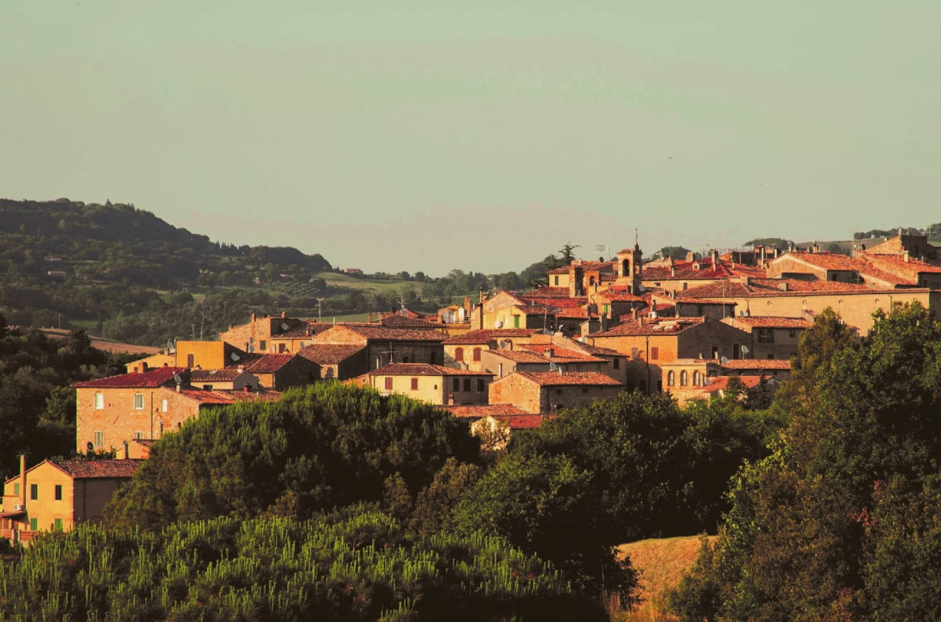 Bibbona, photo 1