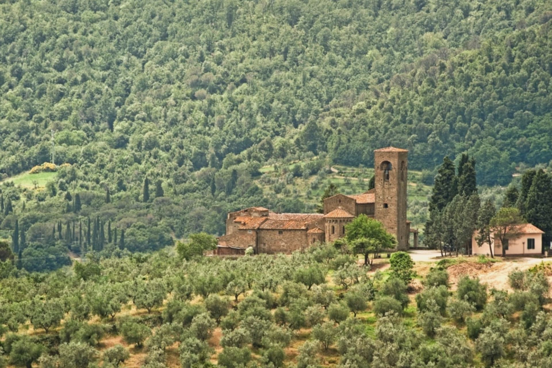 Carmignano, photo 2