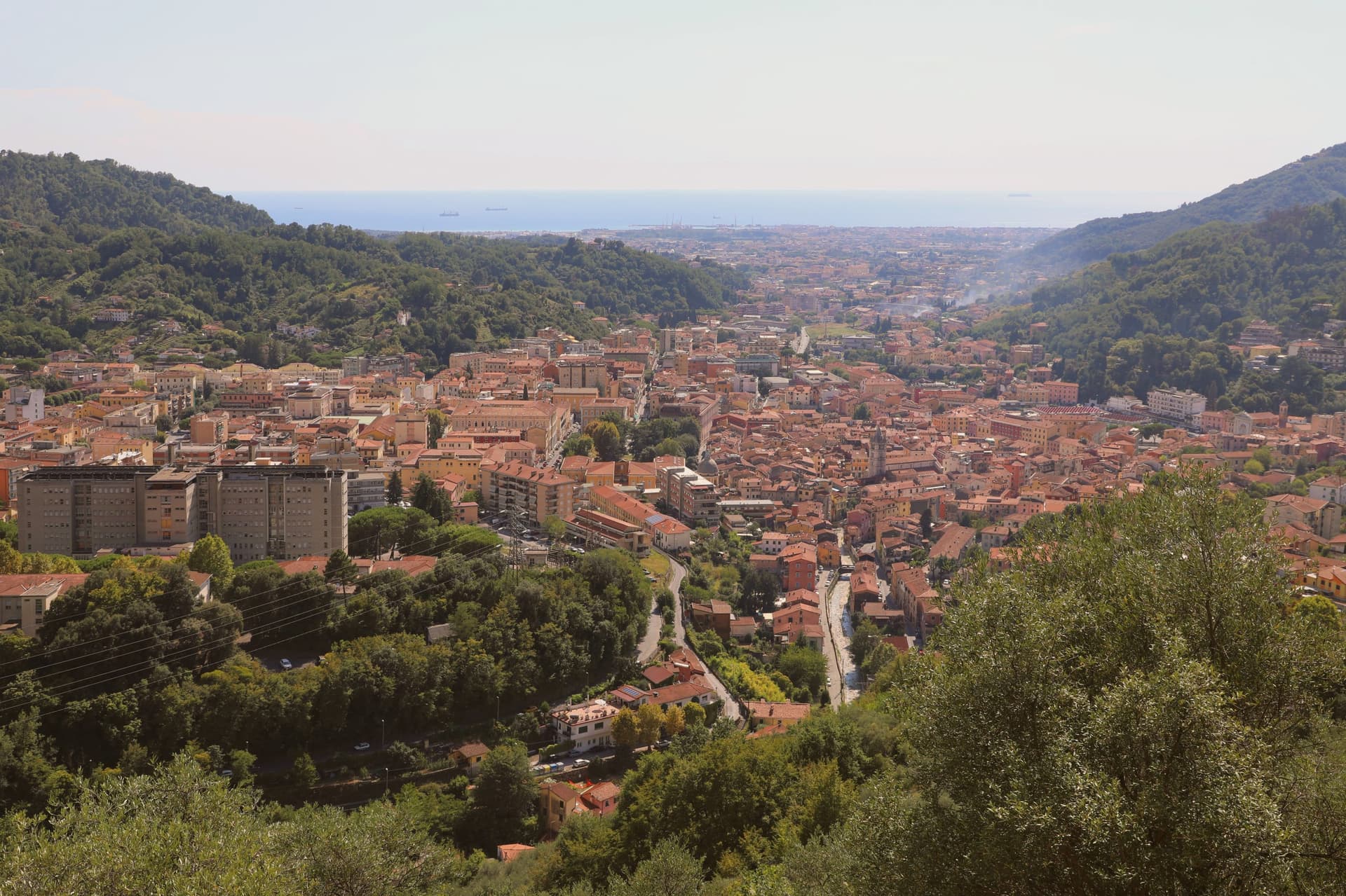 00   Carrara