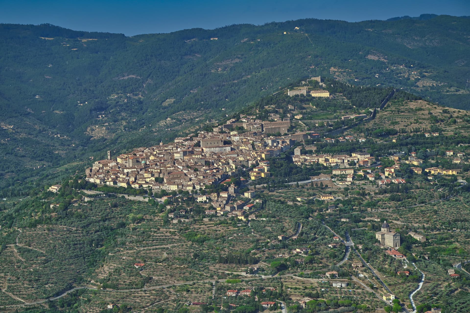 Cortona