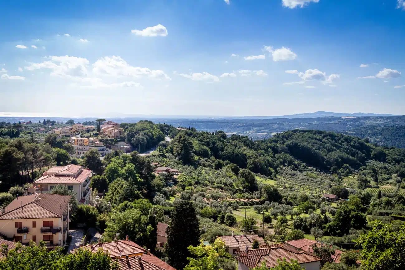Montescudaio