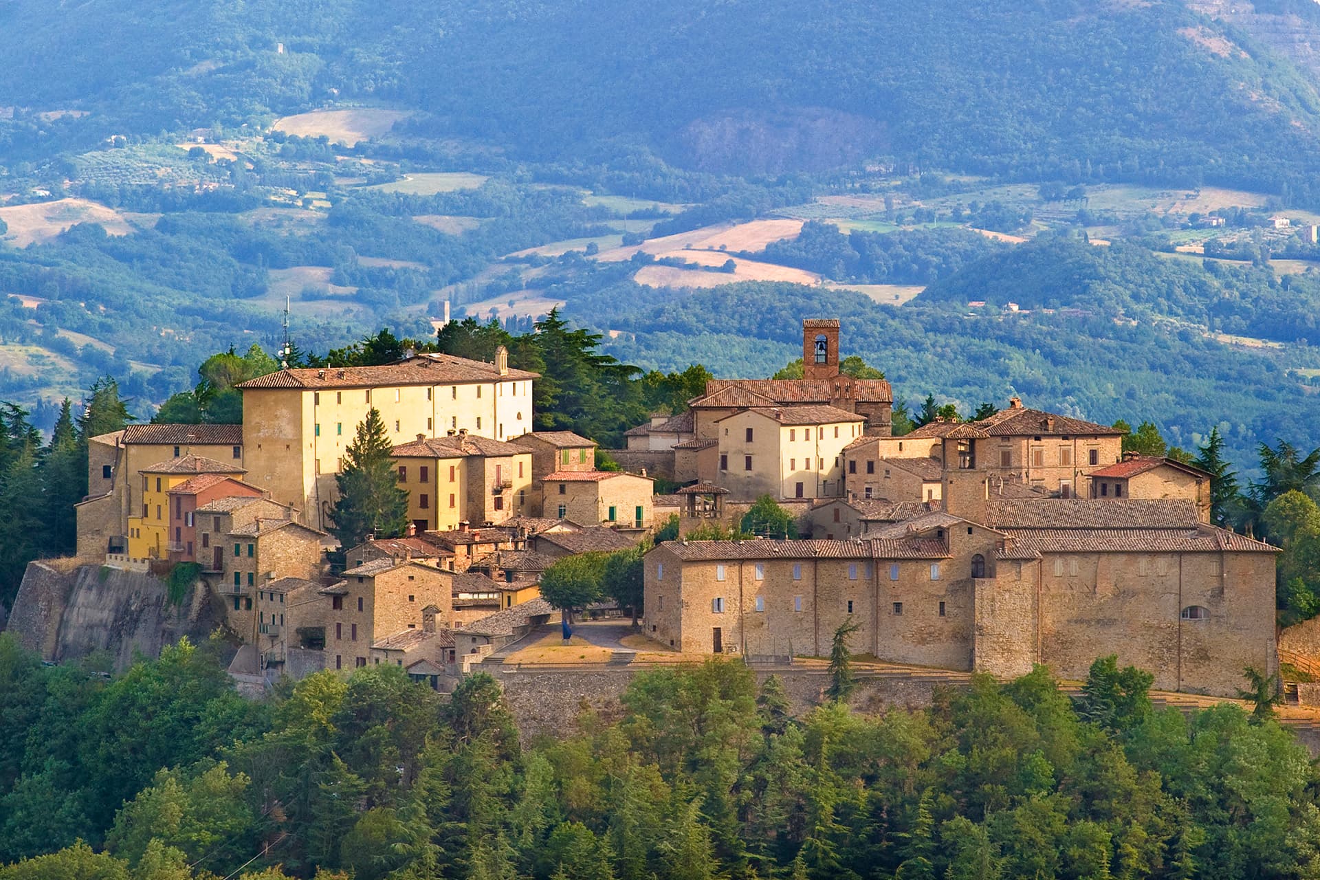 Montone — photo 1