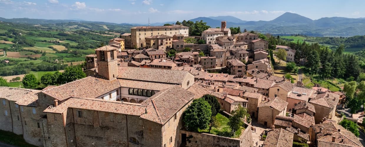 Montone — photo 2