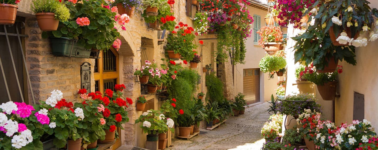 Spello — photo 1