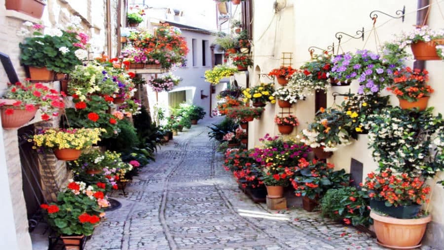 Spello — photo 2
