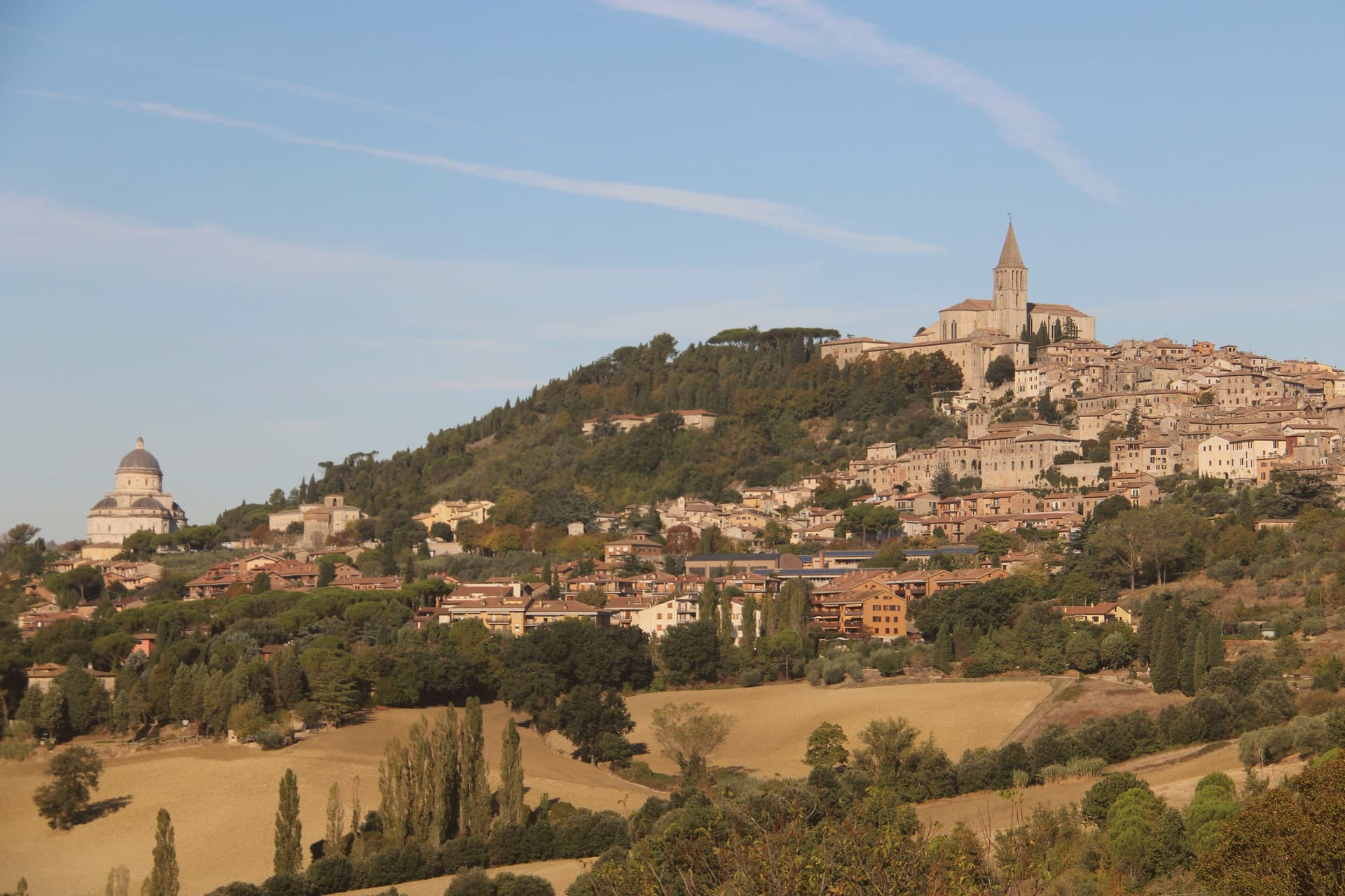 Todi