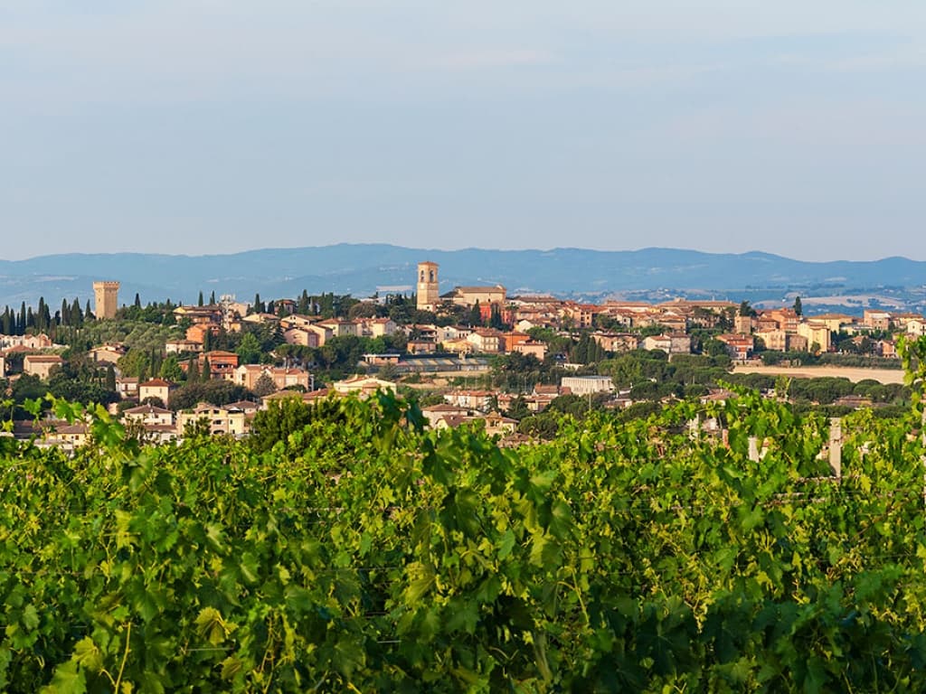 Torgiano — photo 2