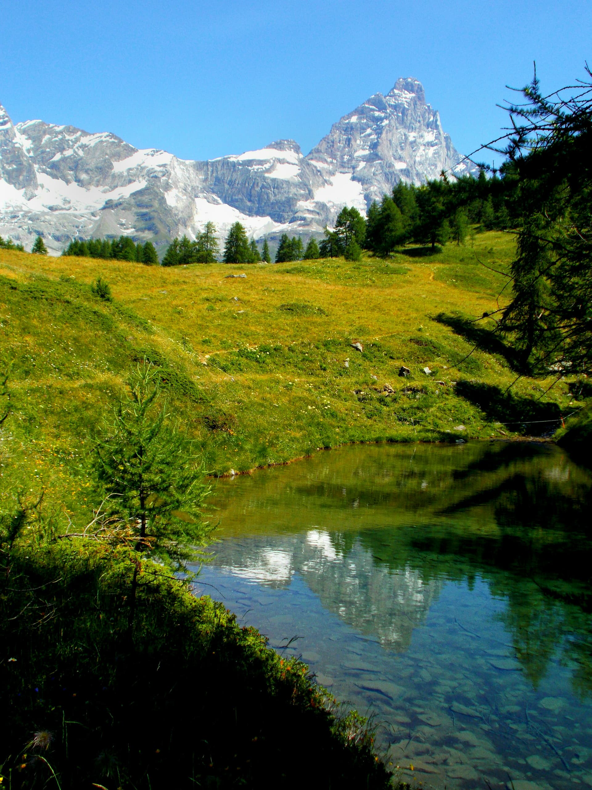 Valtournenche